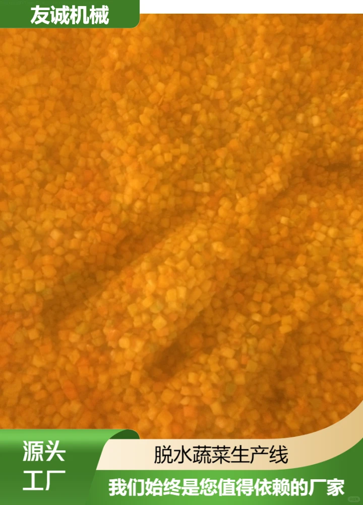 和田脱水蔬菜生产线如何选