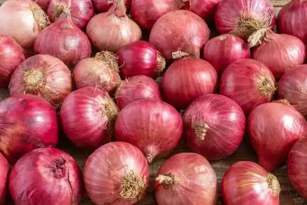 洋葱出口清关全流程指南