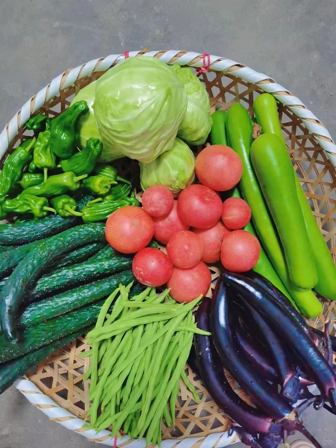 蔬菜品种合集???????