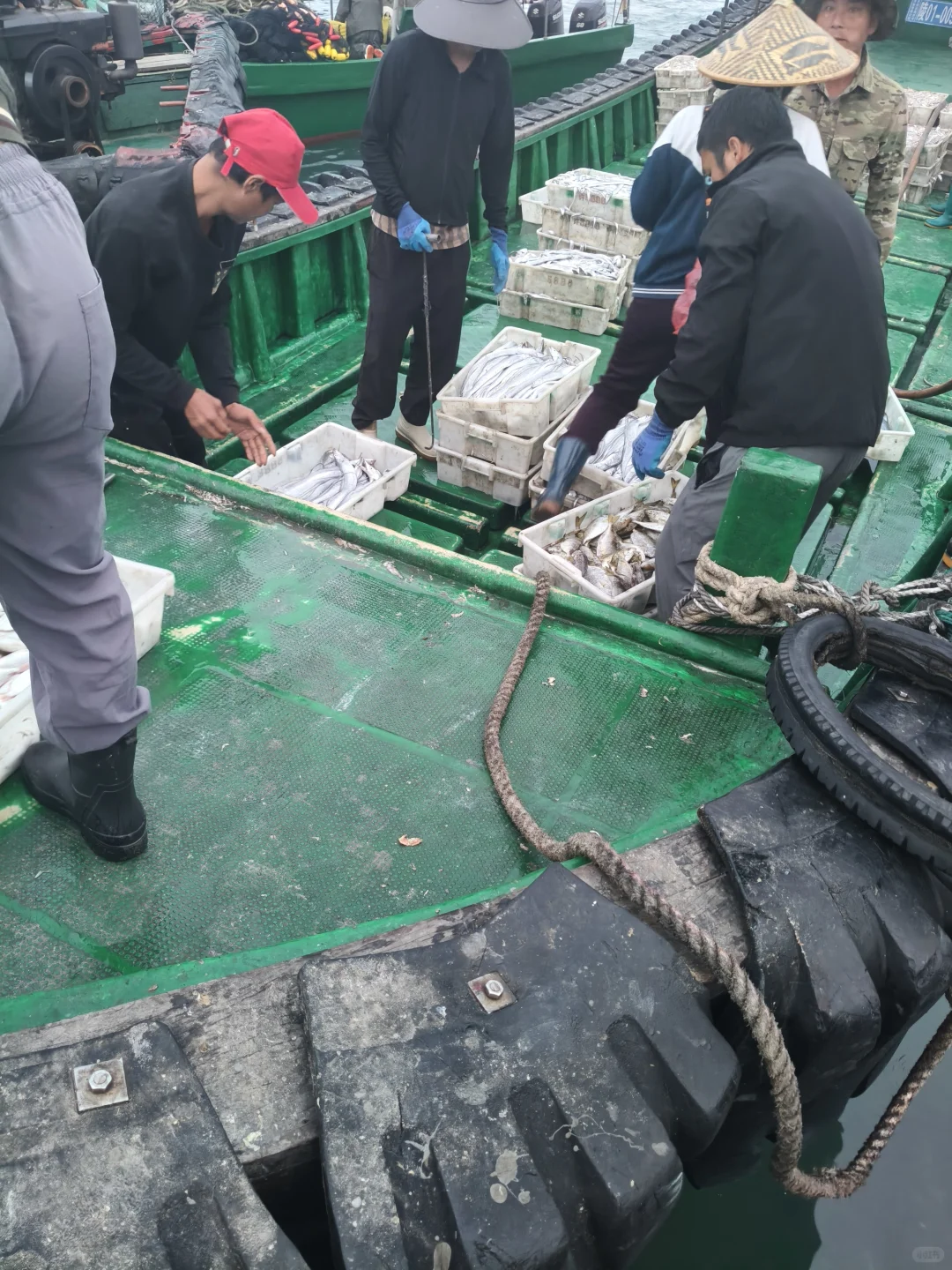 陵水本地人狂推❗️免费带买海鲜+自家加工