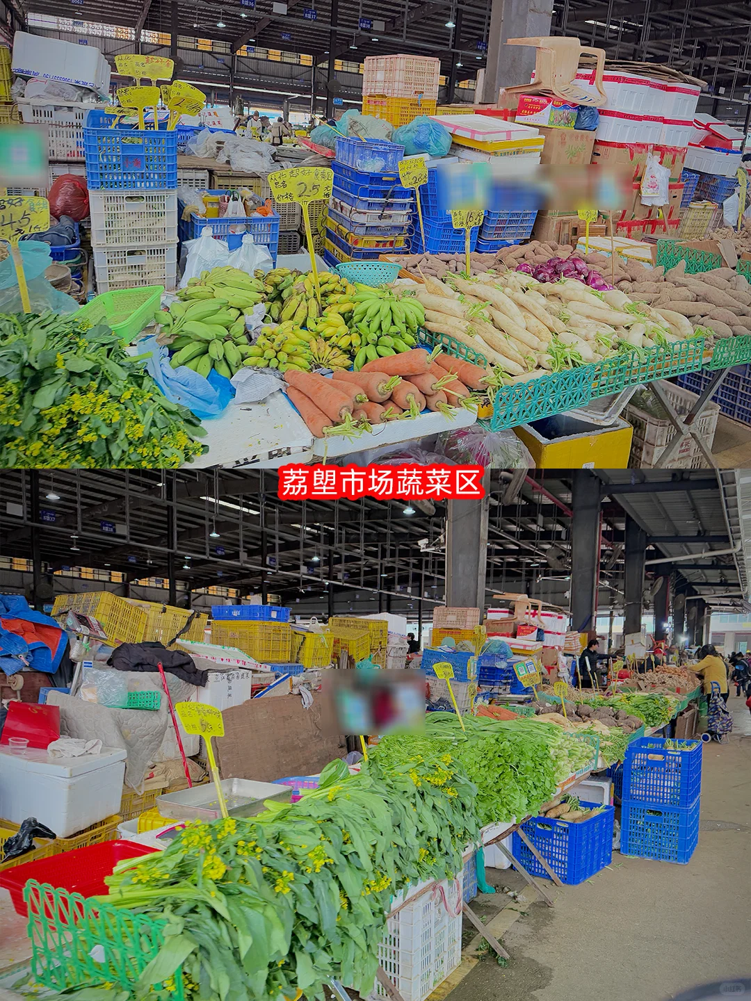 1 蚊 1 只生蚝？广钢周边宝藏菜市场盘点