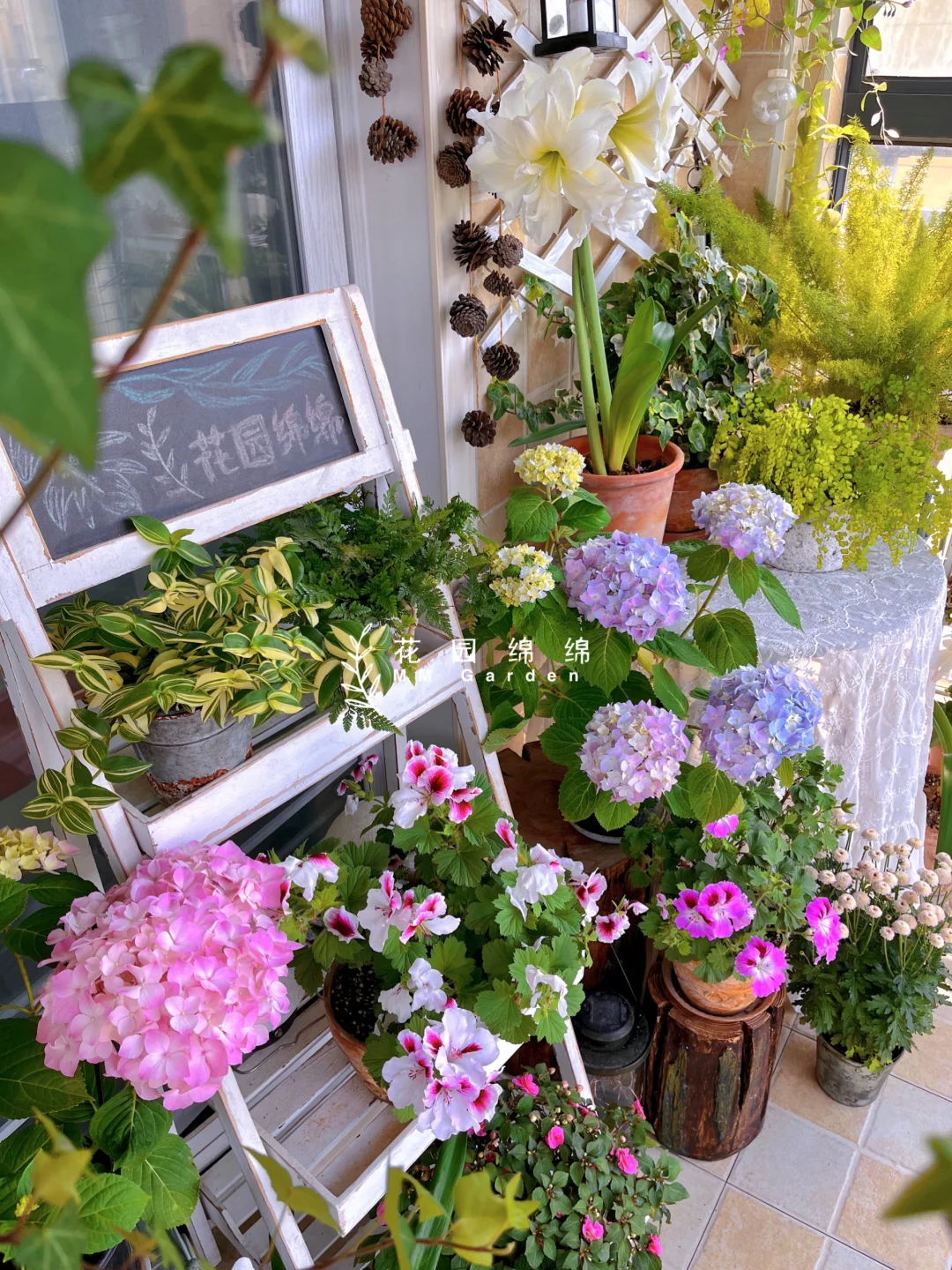 养花不晒花，等于白养花～?‍♀️??‍??