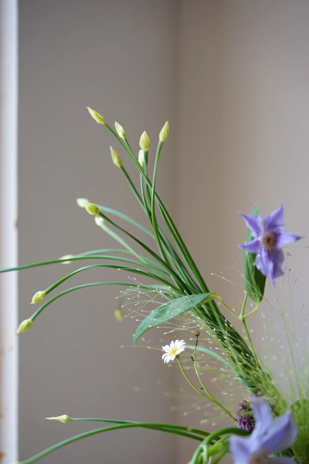 被这些色彩鲜艳的蔬果治愈了??️?