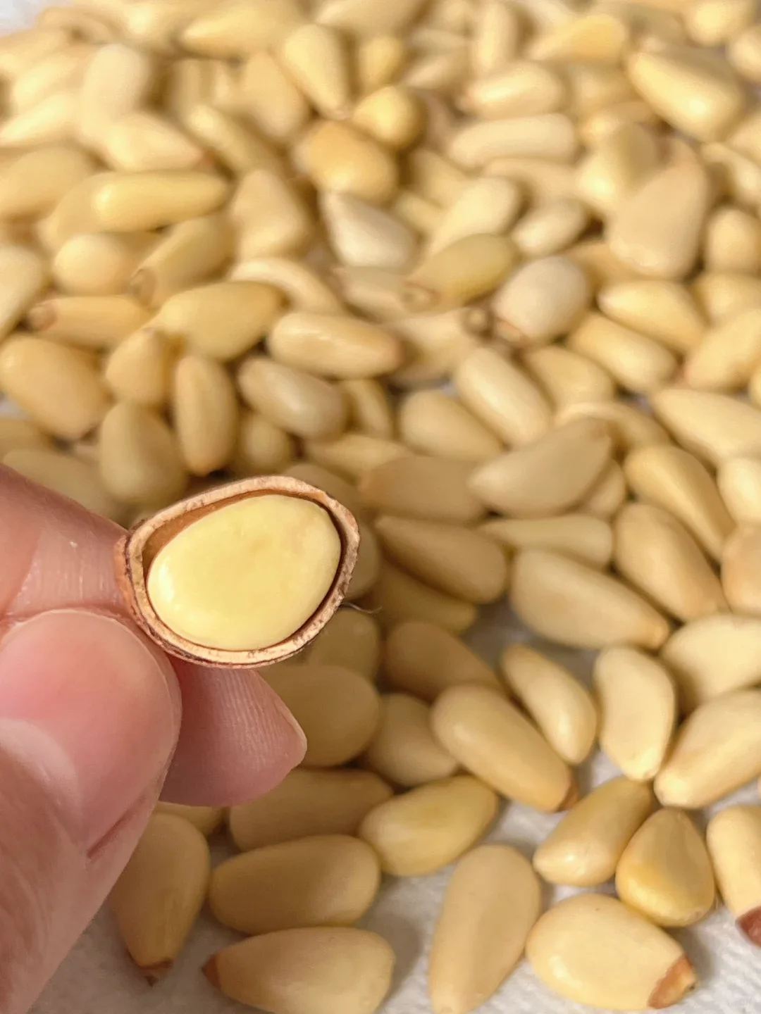 疑似被资本做局…产地真没那么贵