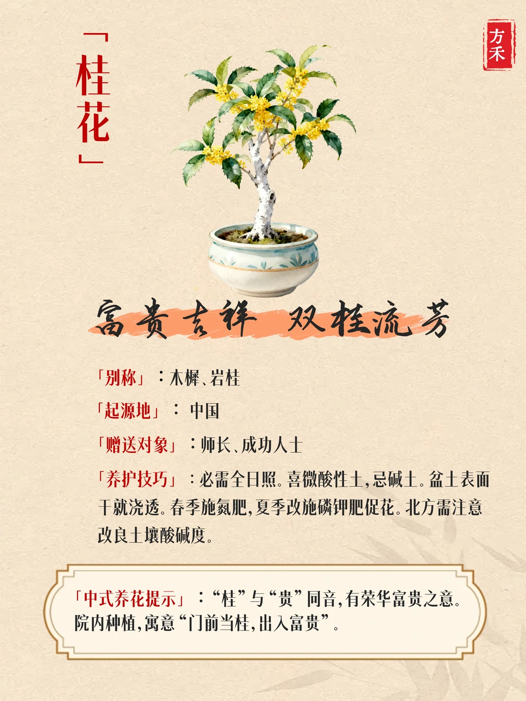 9种花卉藏玄机? 家宅兴旺好运来