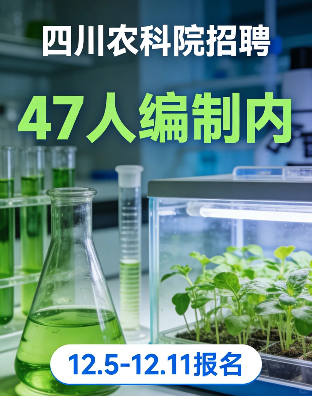 四川农科院招聘，47人，12.5-12.11报名