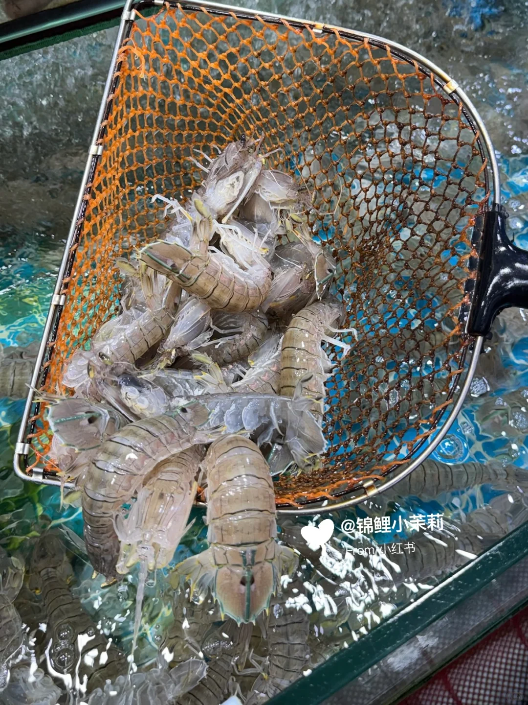 ?三亚第一市场，常来的海鲜小店