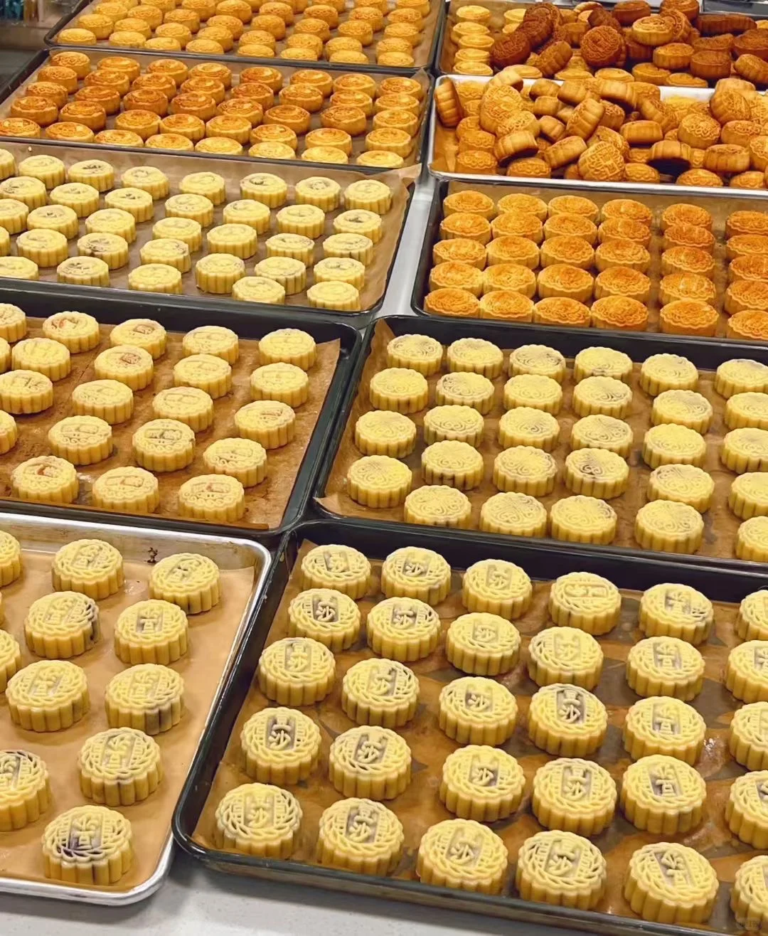 青岛月饼|源头工厂|日常记录