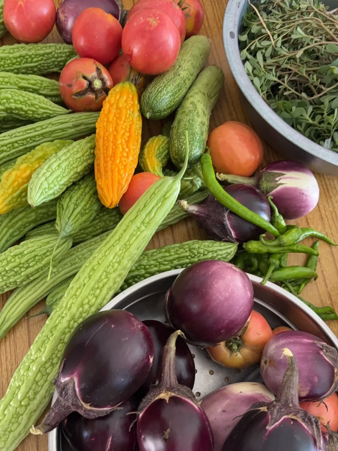 从菜园收获的蔬菜???