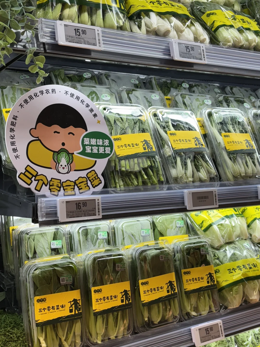 Ole新店开业，好治愈的蔬菜墙，想吃