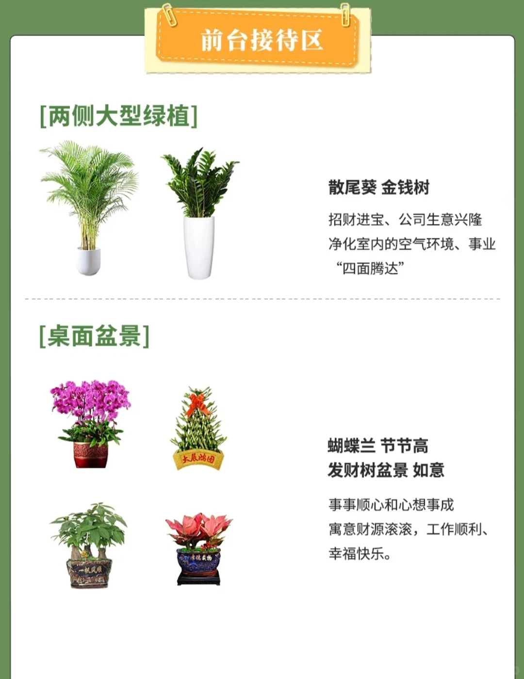北京全区域专业绿植养护，绿植租摆