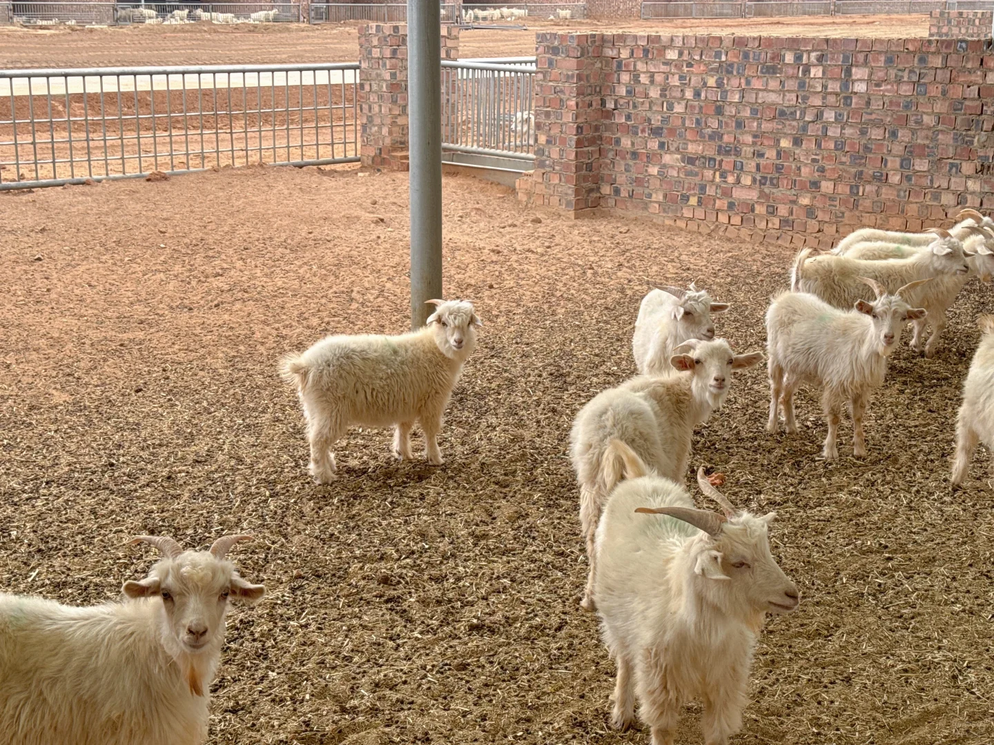 内蒙古自治区领导赴浙考察指导 深入我司产