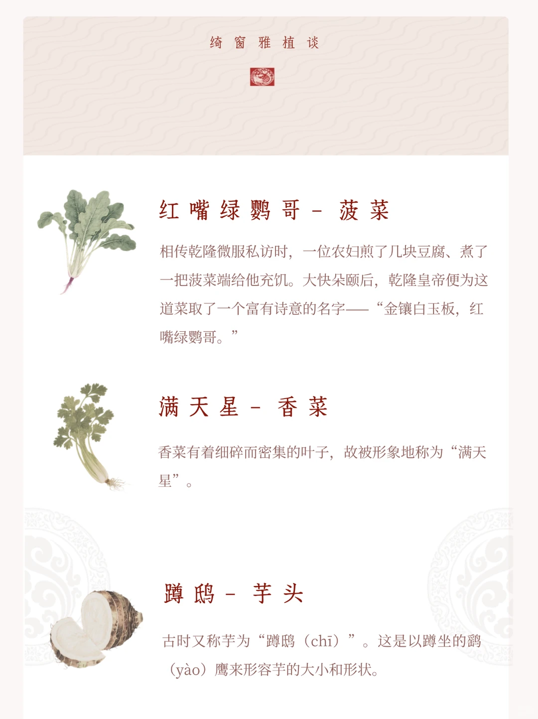 古人对蔬菜的惊艳雅称?