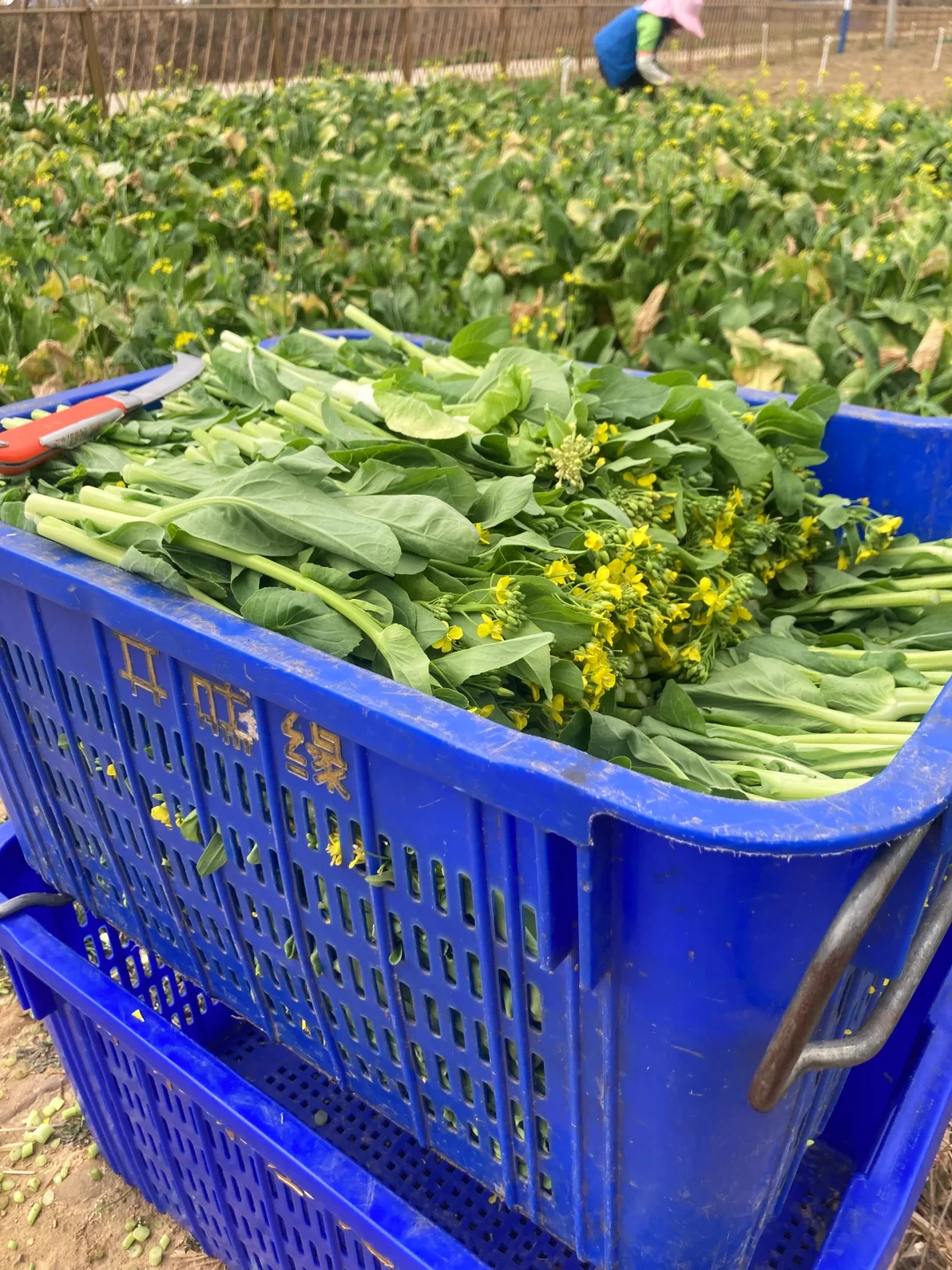 必看！适合一个人不折腾的副业