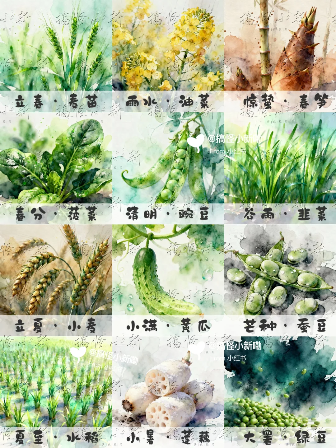 ?被这组“农耕文化图鉴”美到啦！