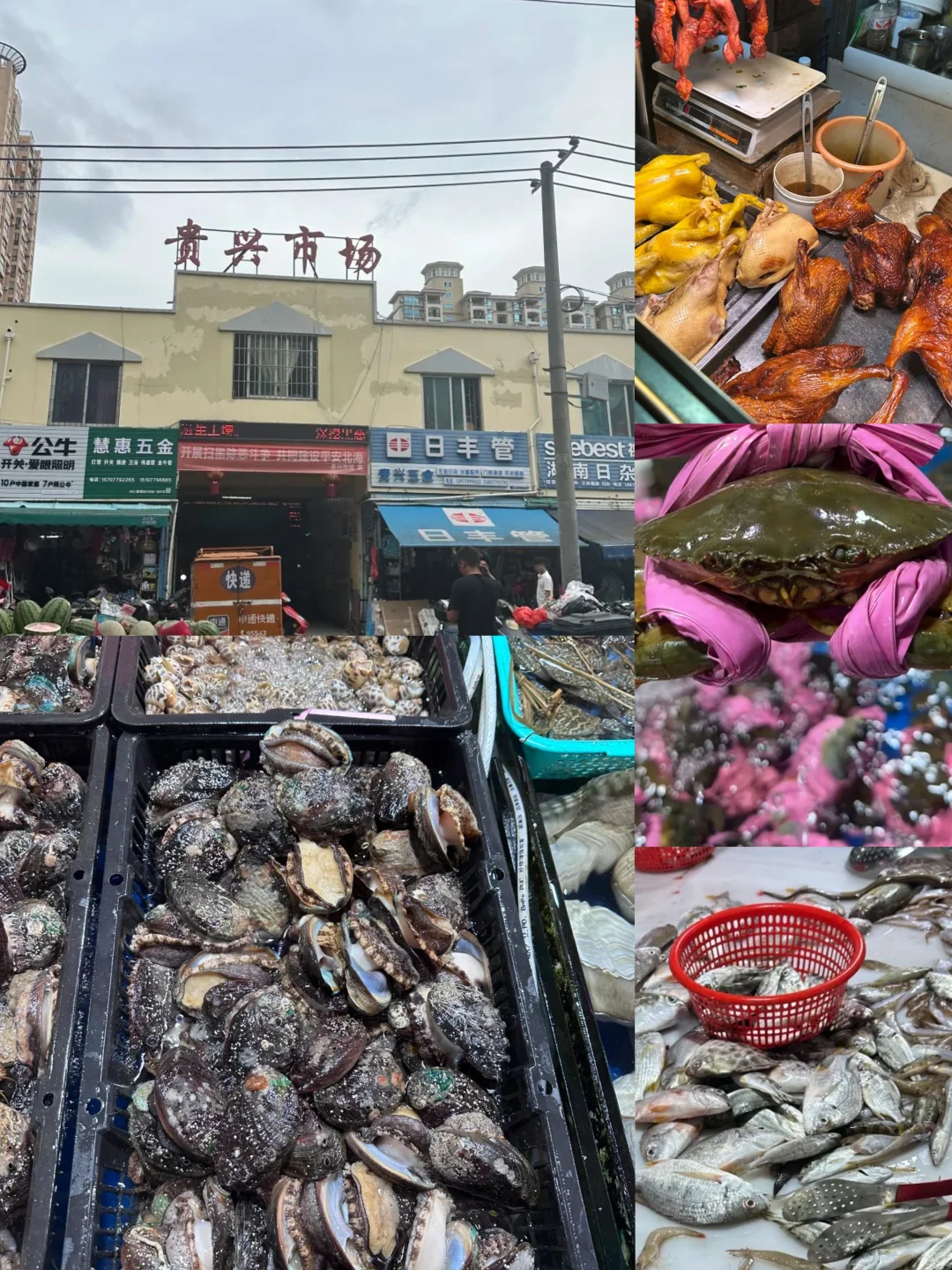 北海｜本地人常去的11大菜市场