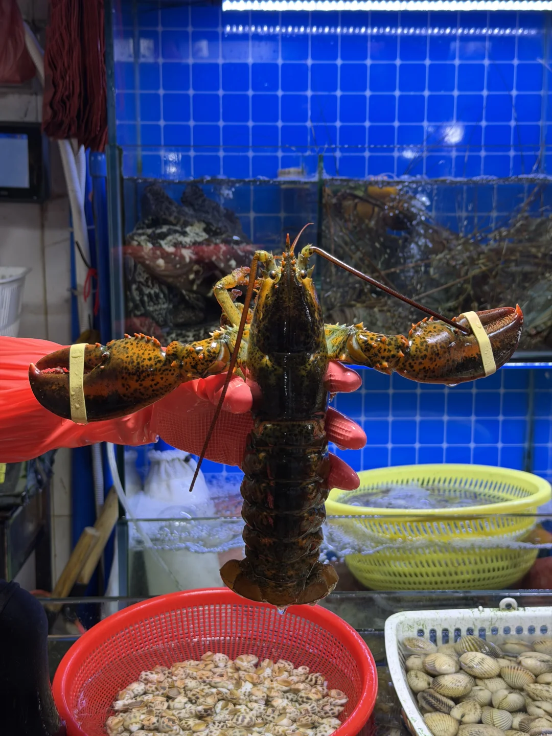 ?来三亚海鲜市场吃海鲜大餐噜～