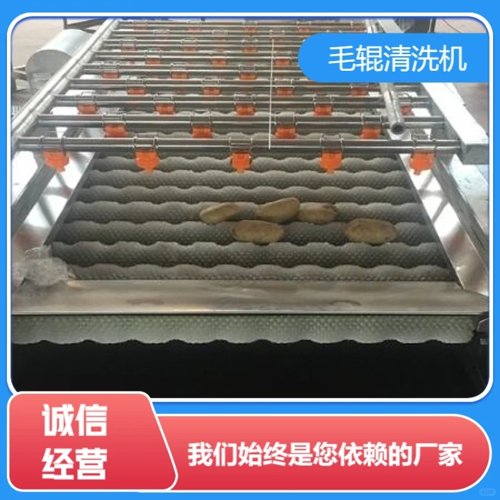 甘肃加工蔬菜定做效率出众