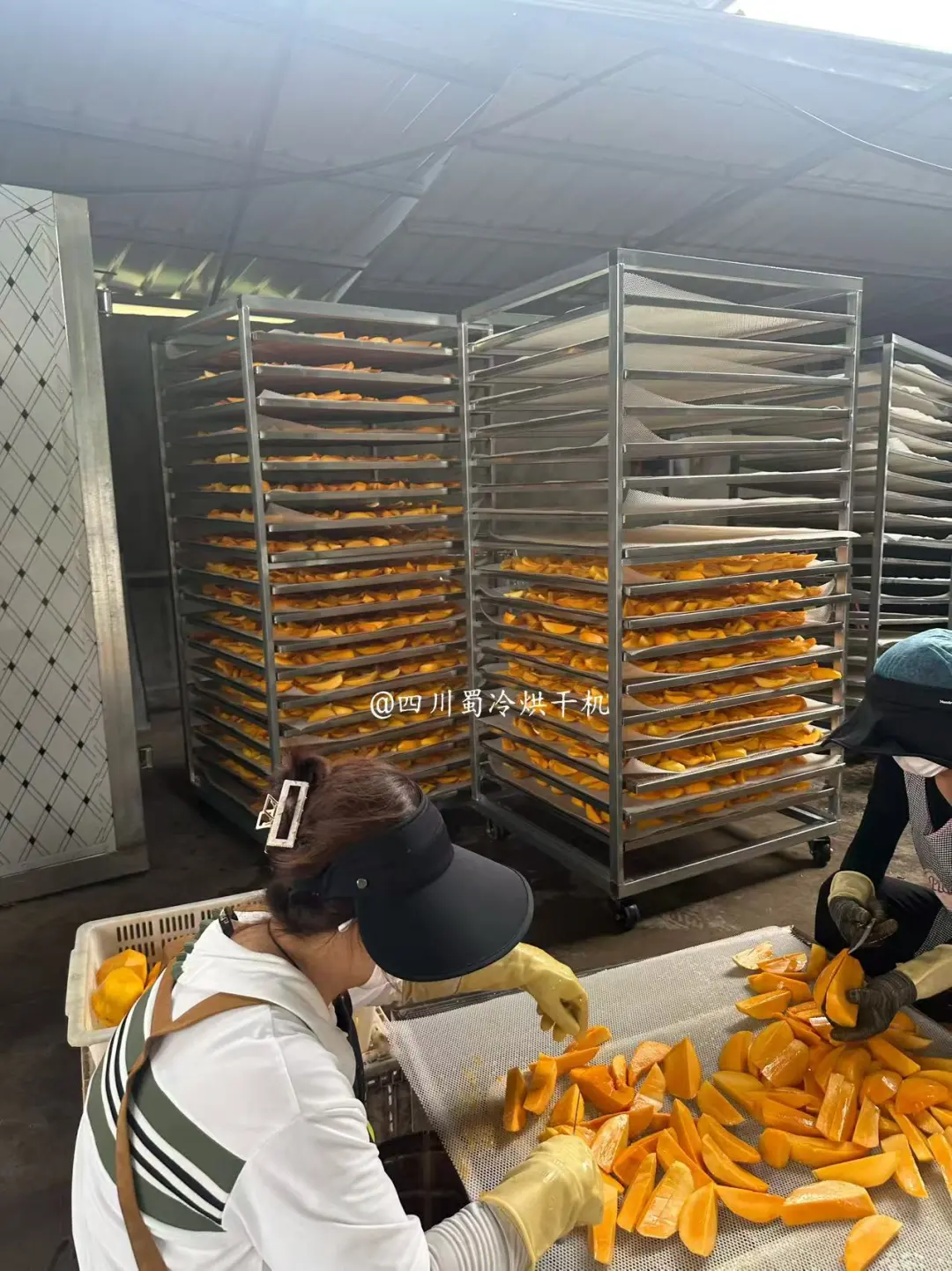 这台烘干机承包果干 / 菌菇 / 药材 / 肉制品