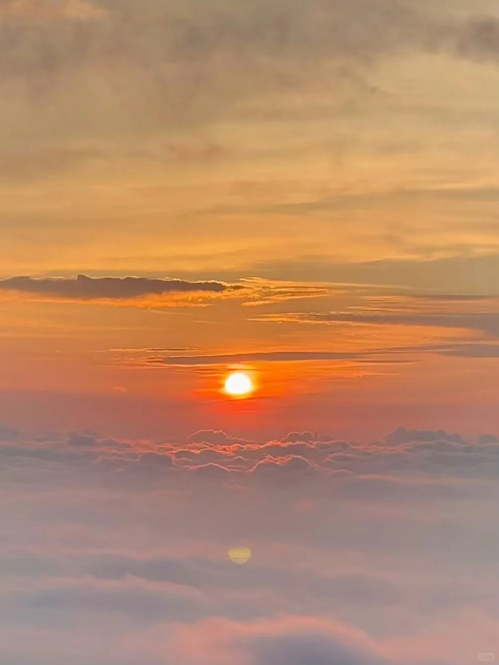 ?30岁外贸人坦白局：年入百万