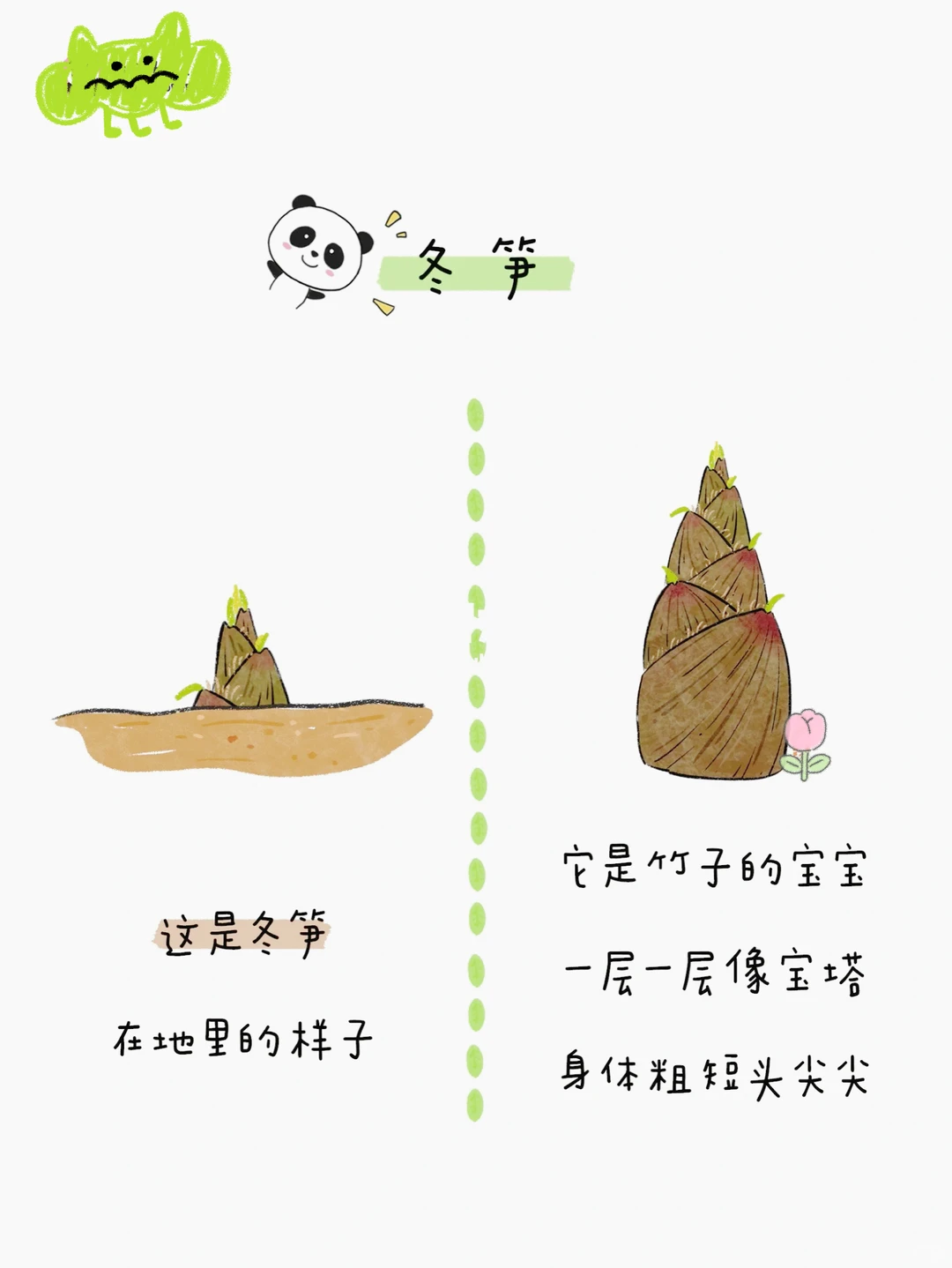 给小朋友的蔬菜图鉴