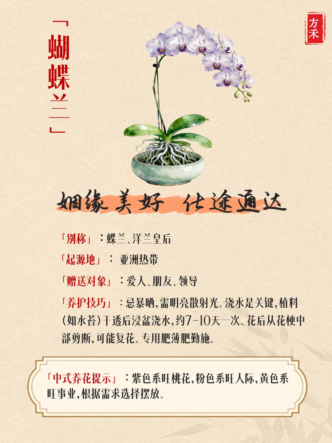 9种花卉藏玄机? 家宅兴旺好运来