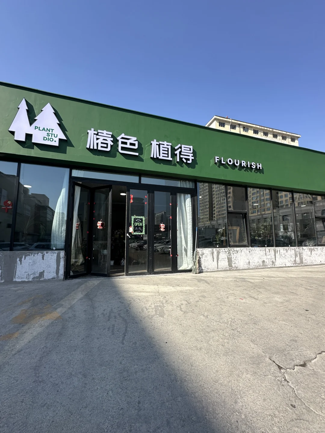 威海真的不缺无聊闲逛的小店……（绿植篇）