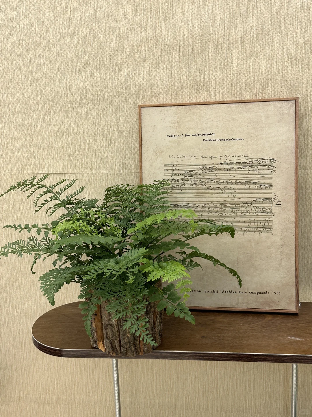 平价中古风绿植分享?