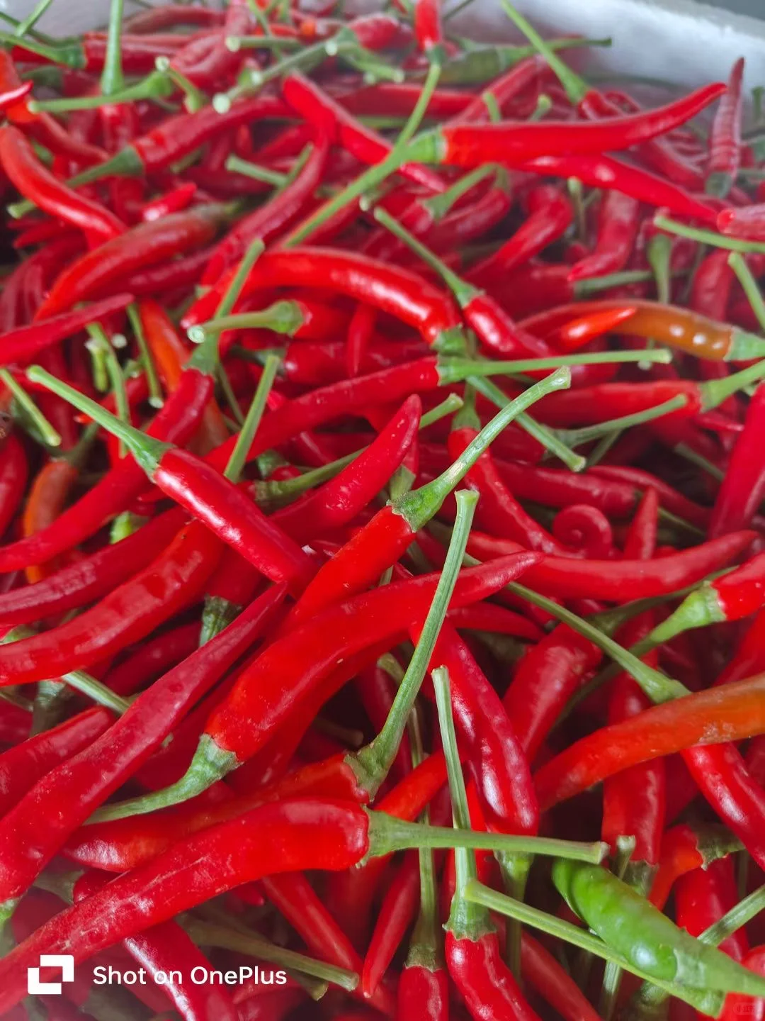 必看！适合一个人不折腾的副业