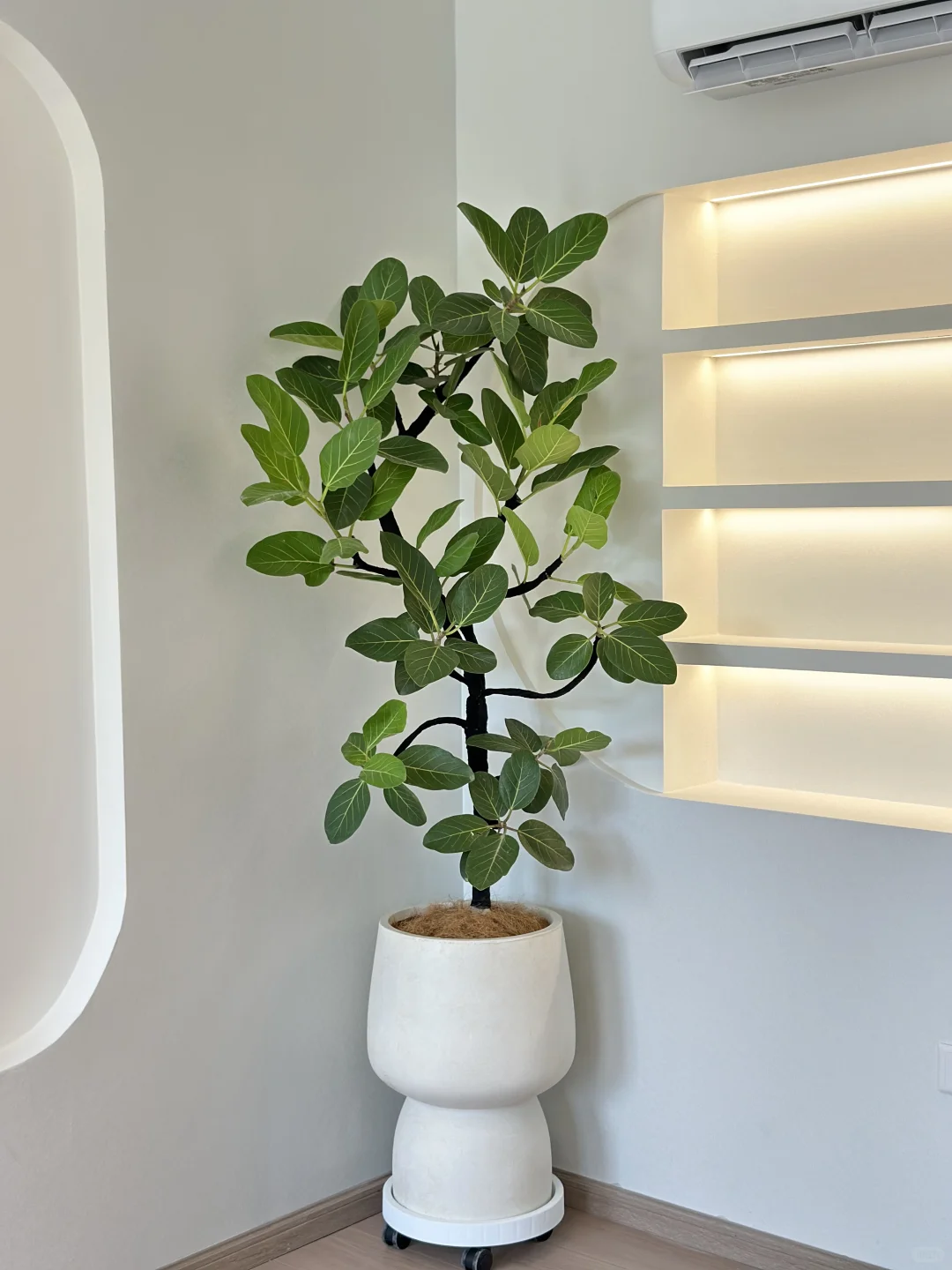 吴江盛泽送货????