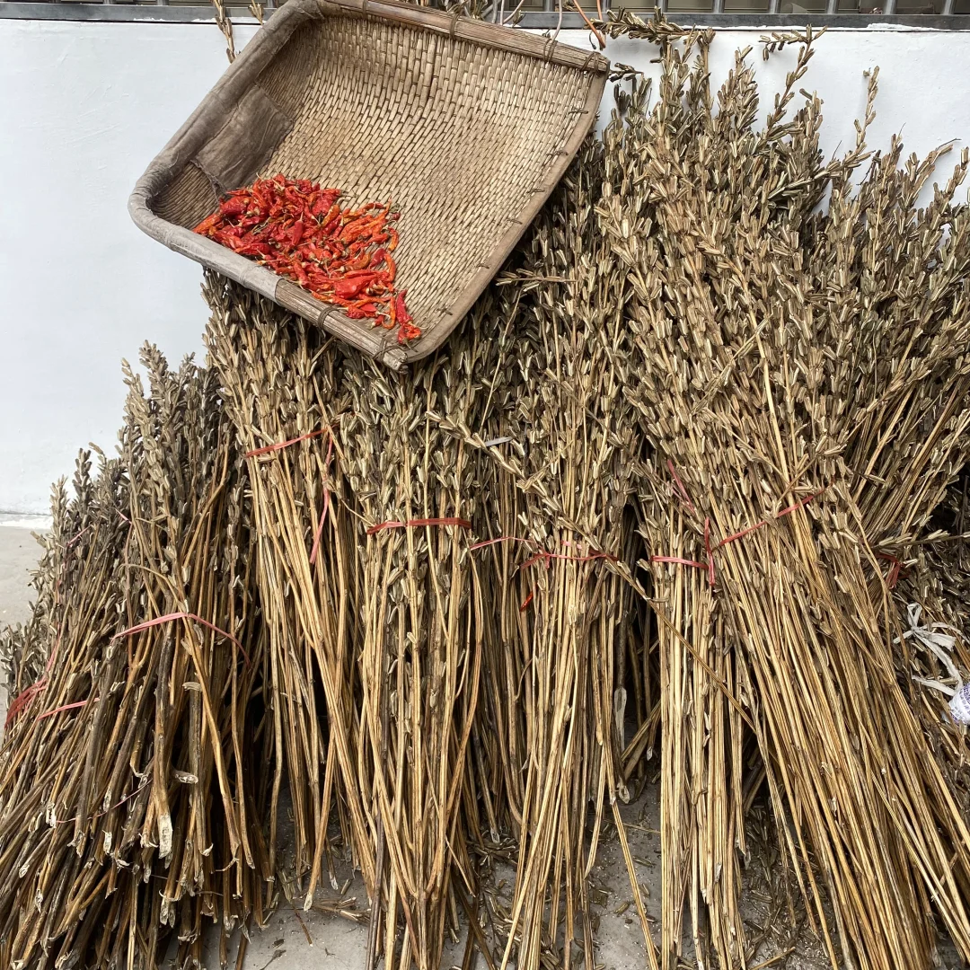 花椒地里长出的黑芝麻！丑丑的但超香✨