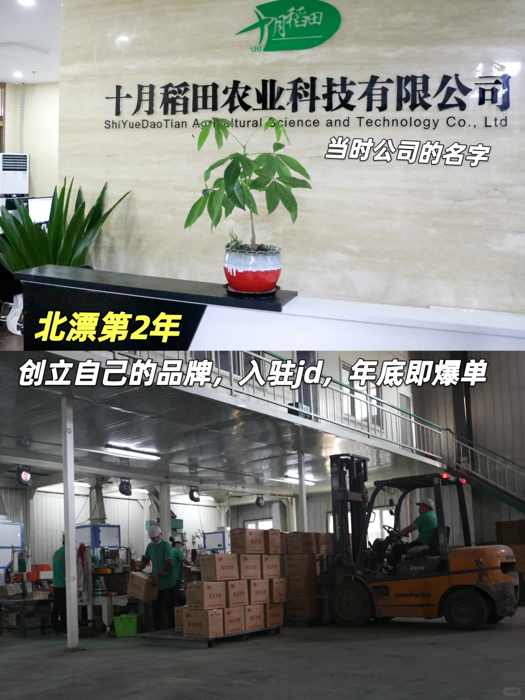 农村女孩爆改上市老板：靠谁都不如靠自己！