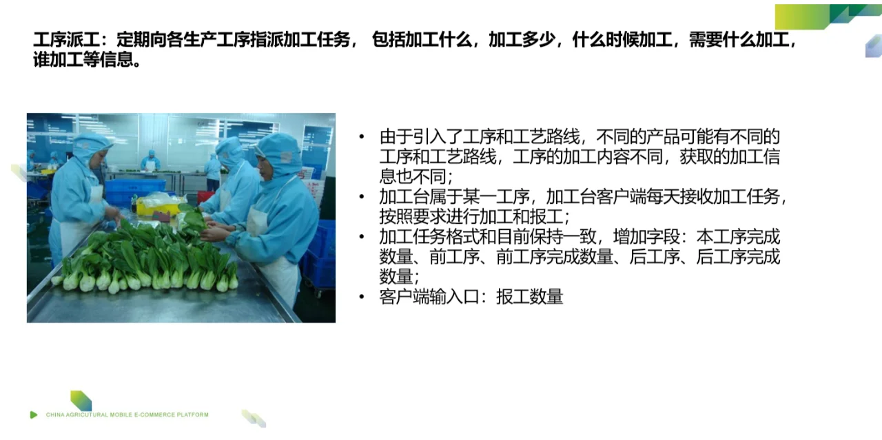 生鲜物流，蔬果加工，一文看懂MES的发展