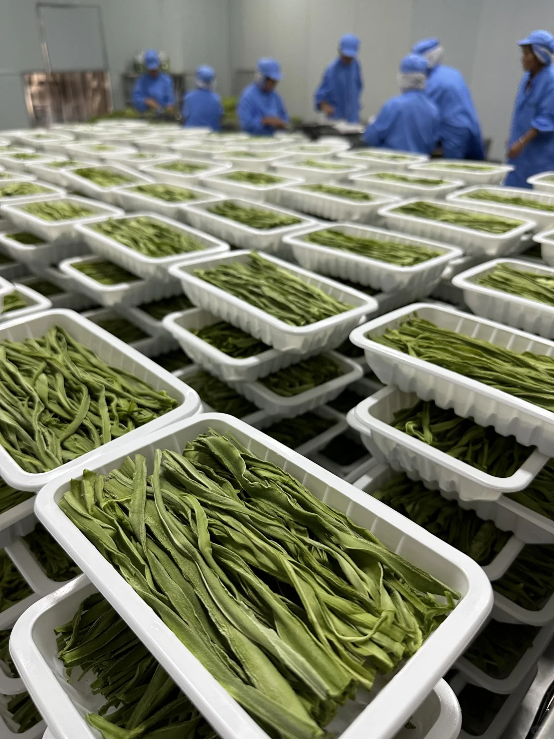 标准化生产铸就品质—探访微神农贡菜干车间