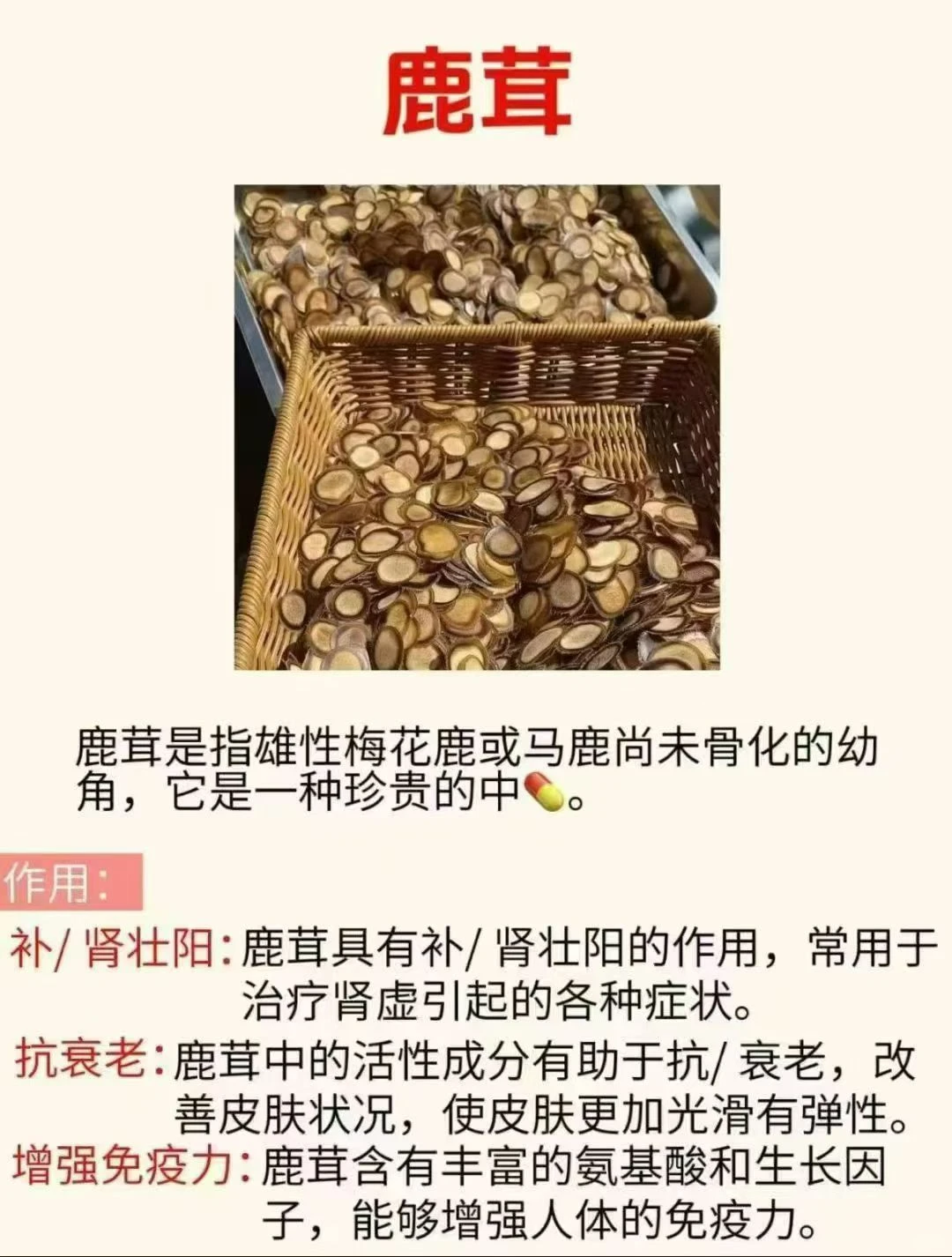 吉林辽源梅花鹿特产