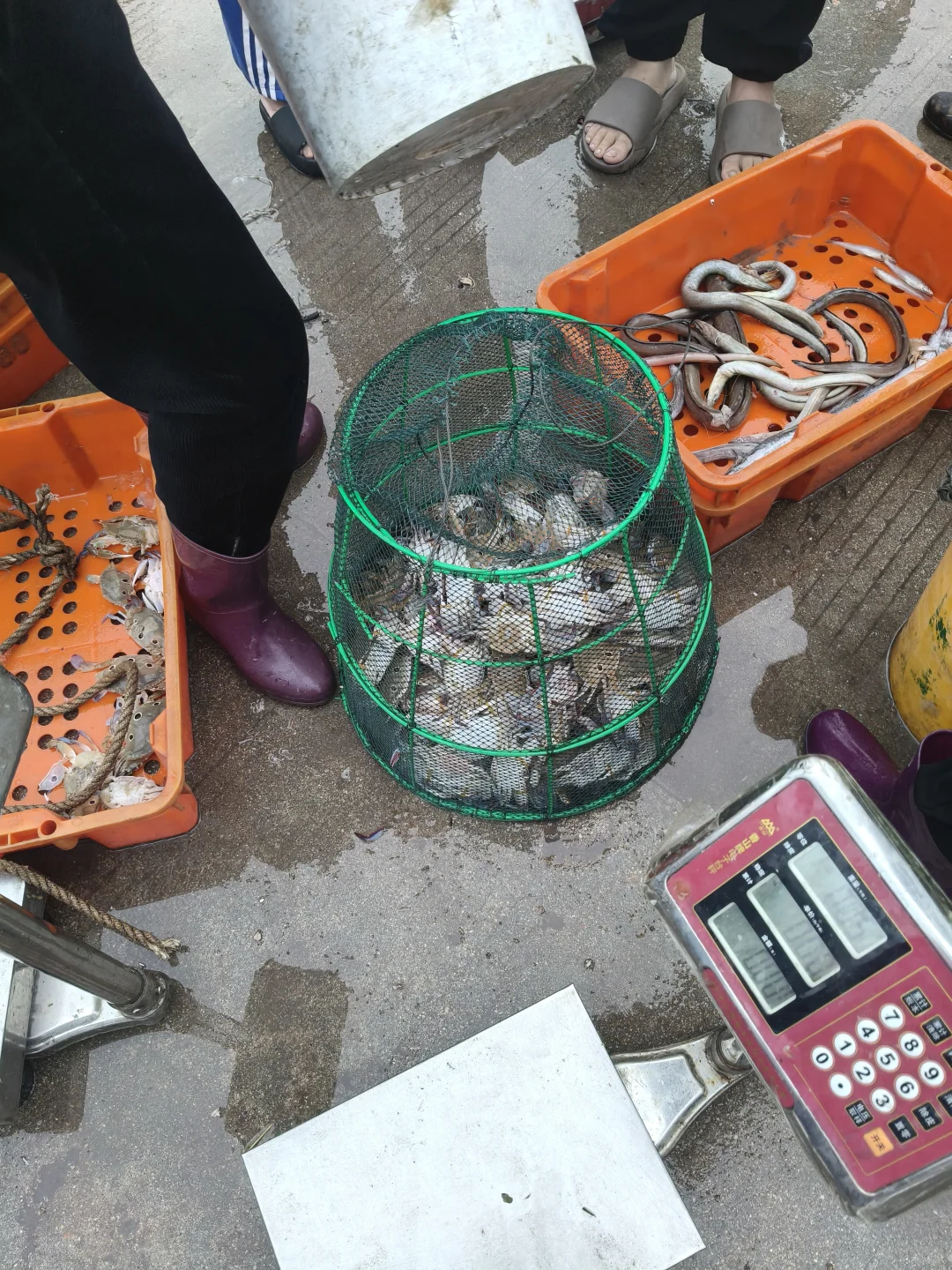 陵水本地人狂推❗️免费带买海鲜+自家加工