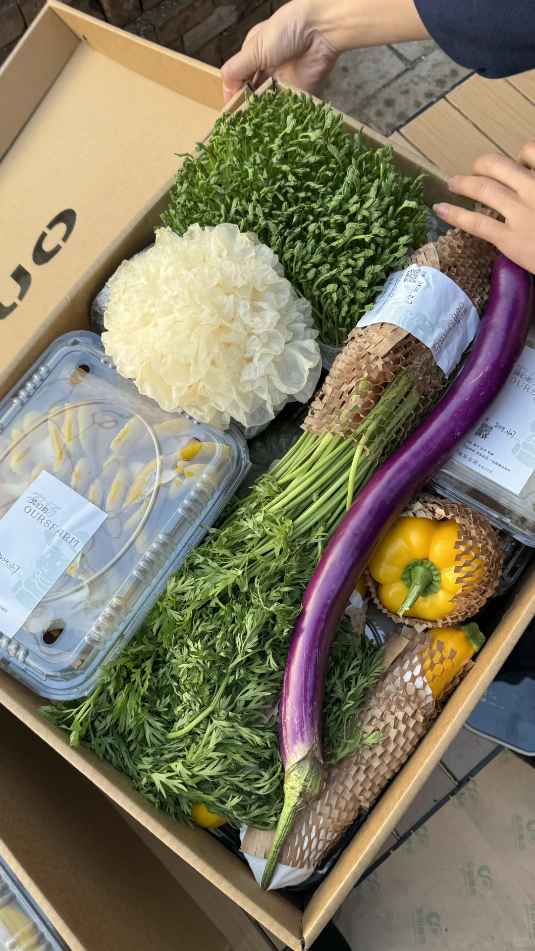 点击查看颜值超高的蔬菜盲盒 本周菜单！爱了