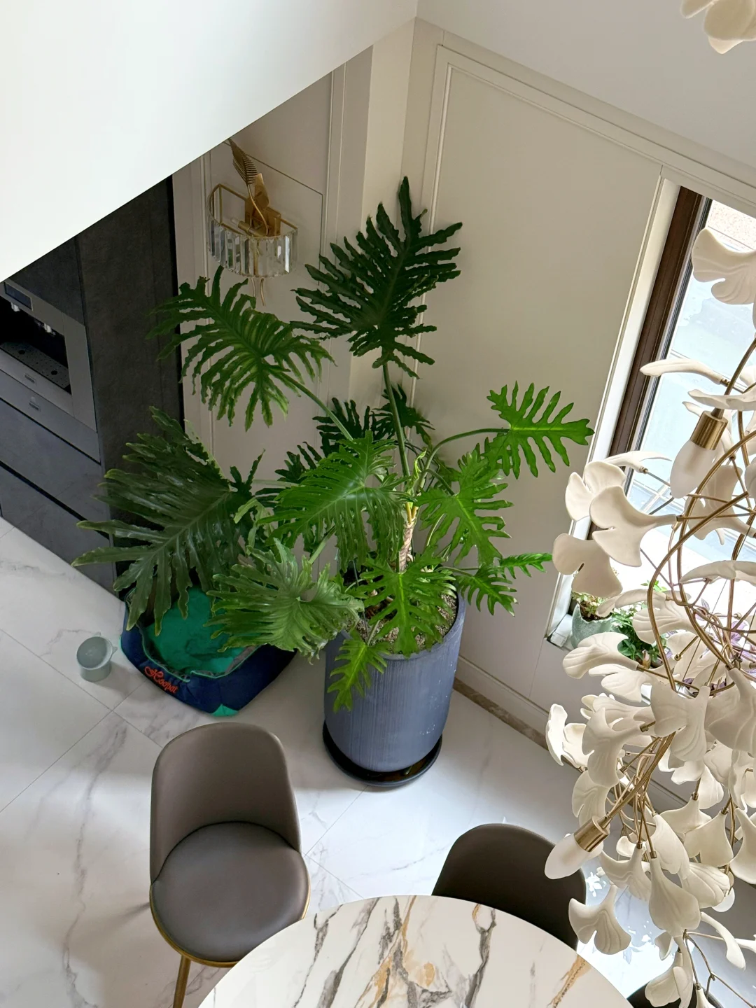 爱死了这旺盛的生命力！