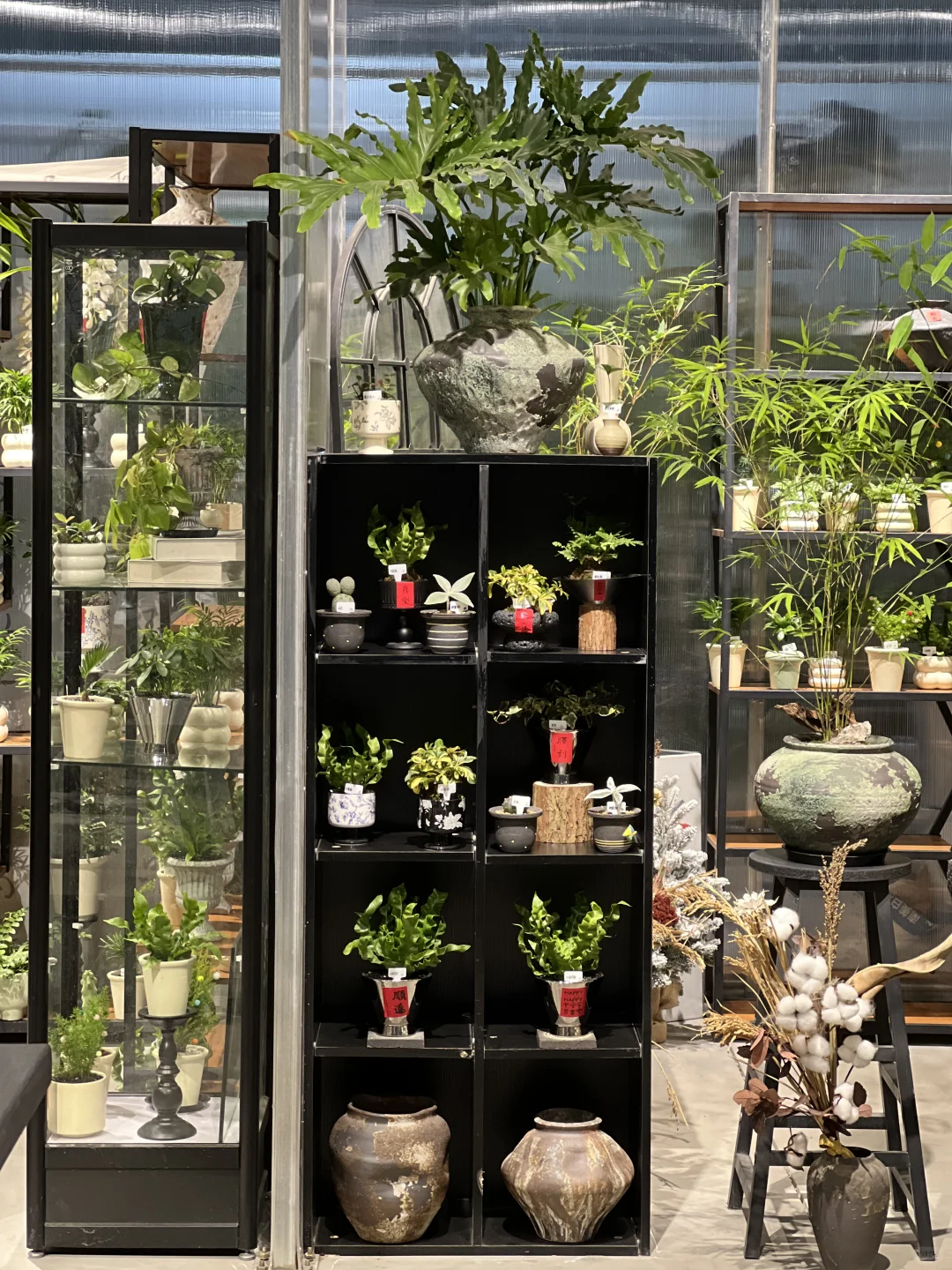 绿植店丨开家绿植店