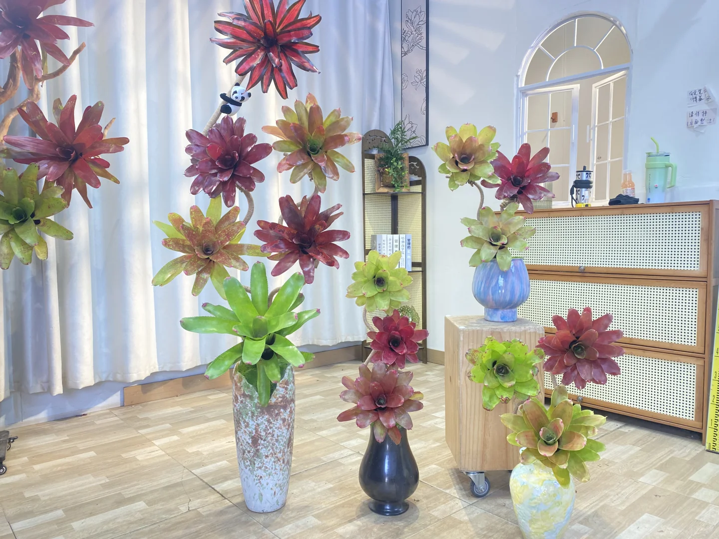 小众设计感!积水凤梨种草推荐