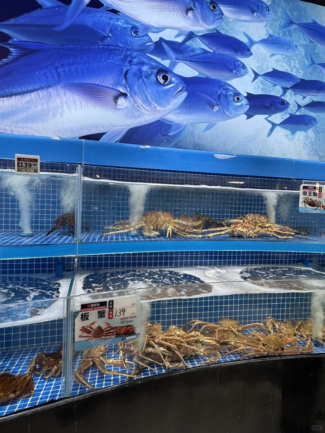 菜市场里的烟火气?