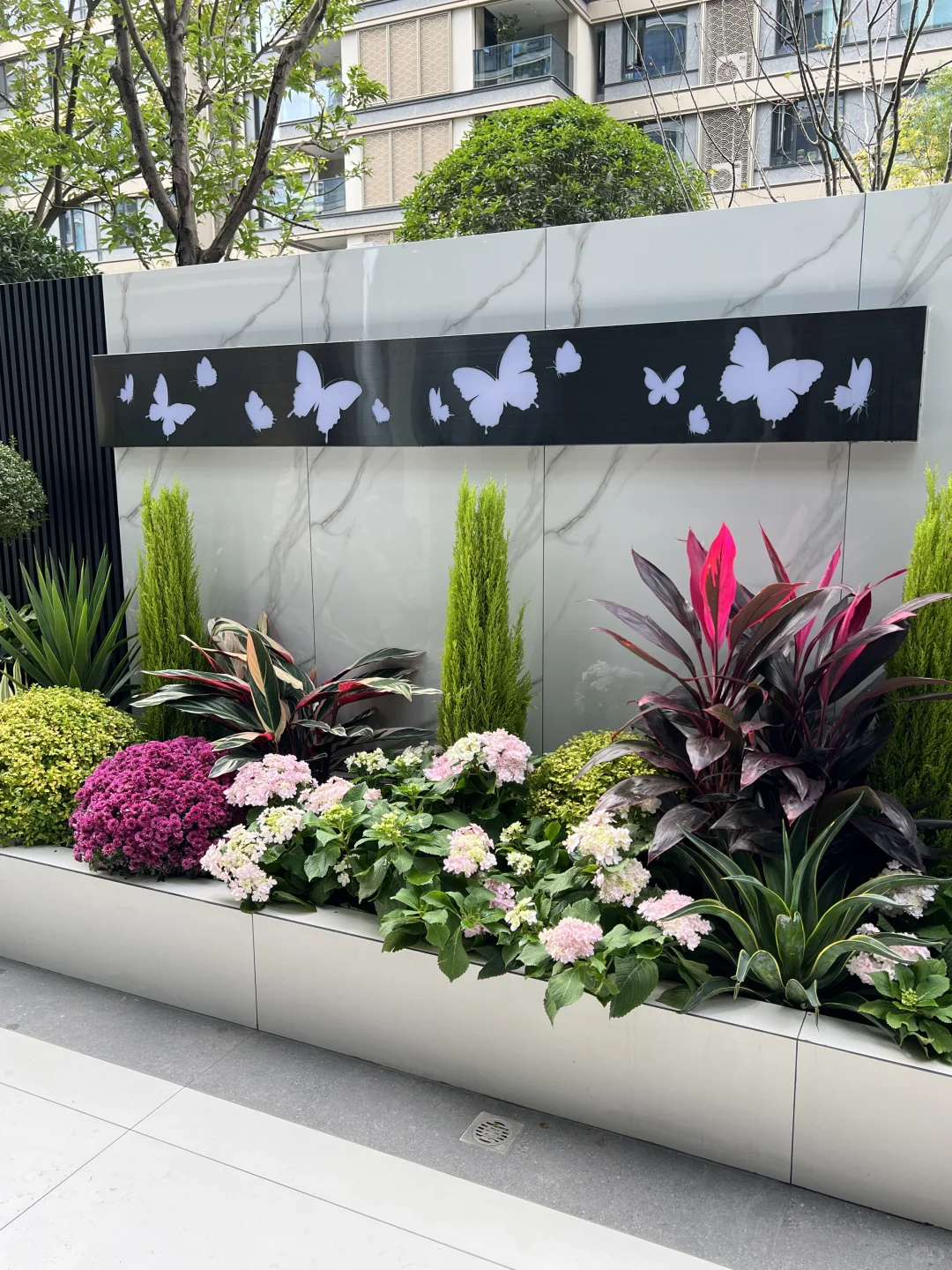 ?花园植物搭配｜普通人自己买植物装的花园