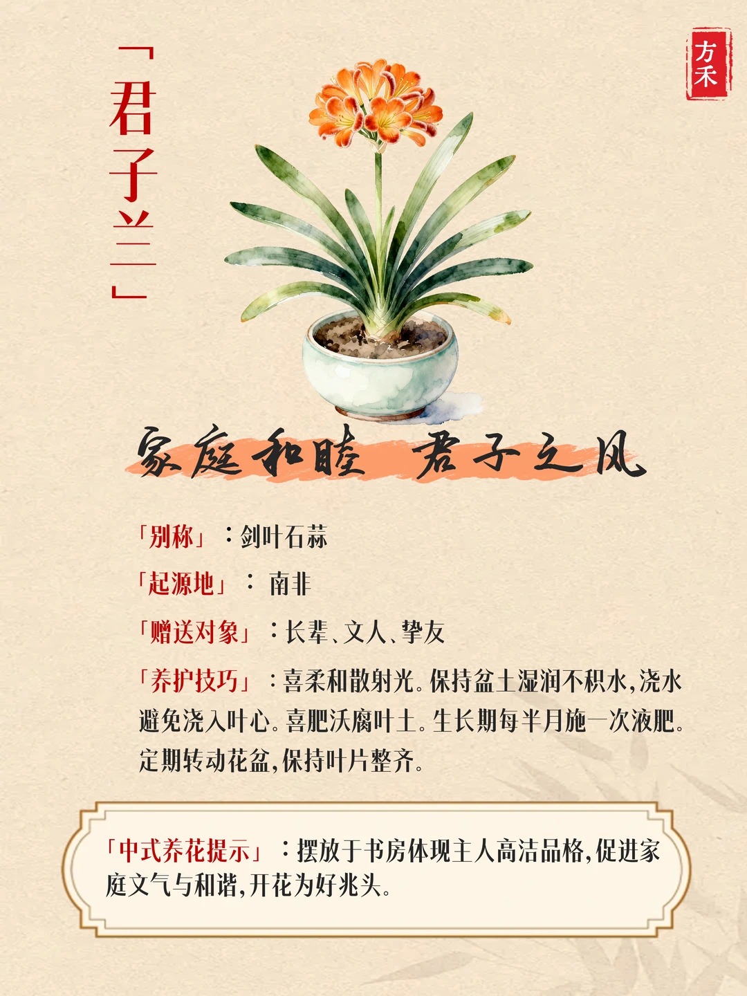 9种花卉藏玄机? 家宅兴旺好运来