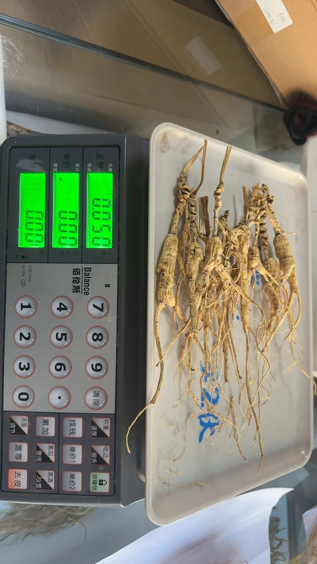 林下参籽货微残