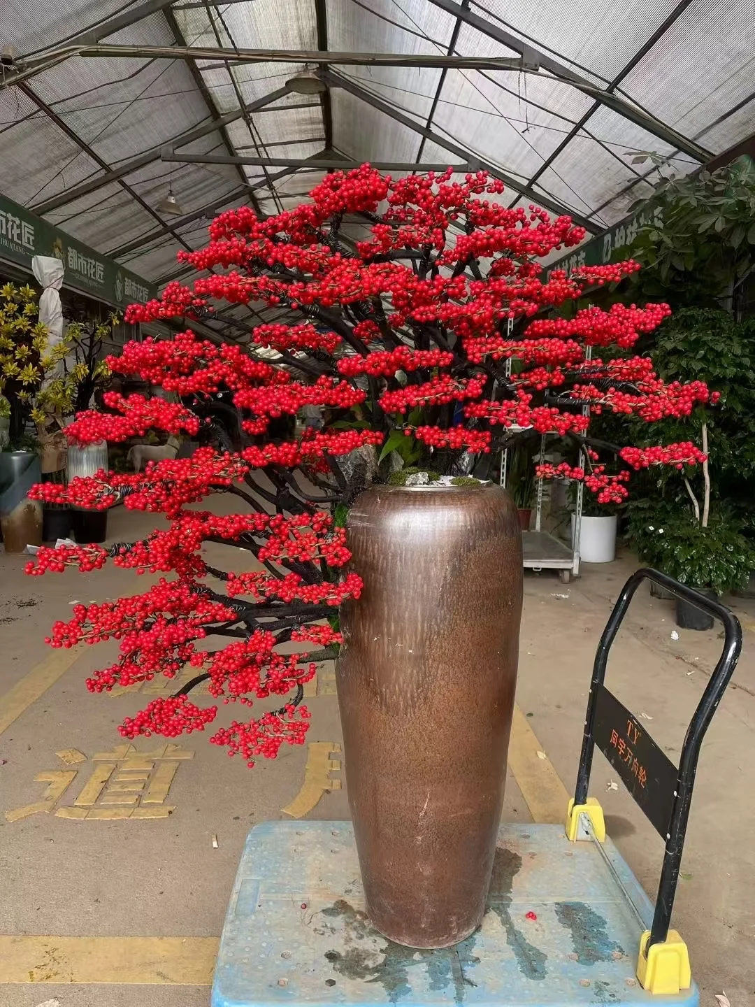 深圳绿植租赁批发，香港?配送