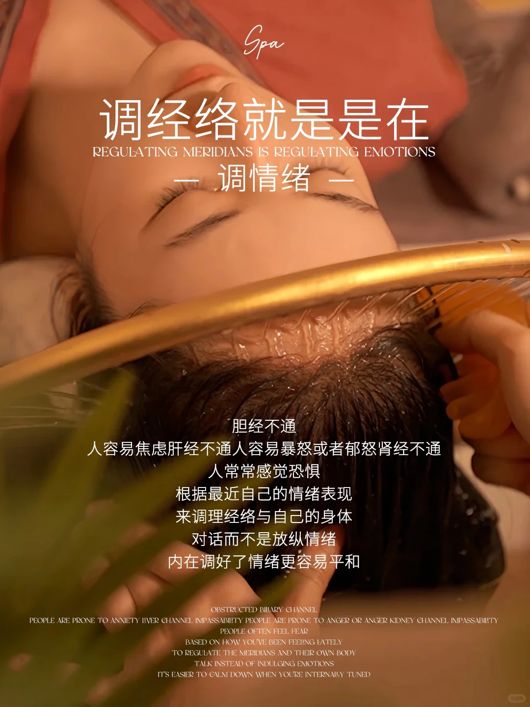 调节经络｜疏通背部与全身～