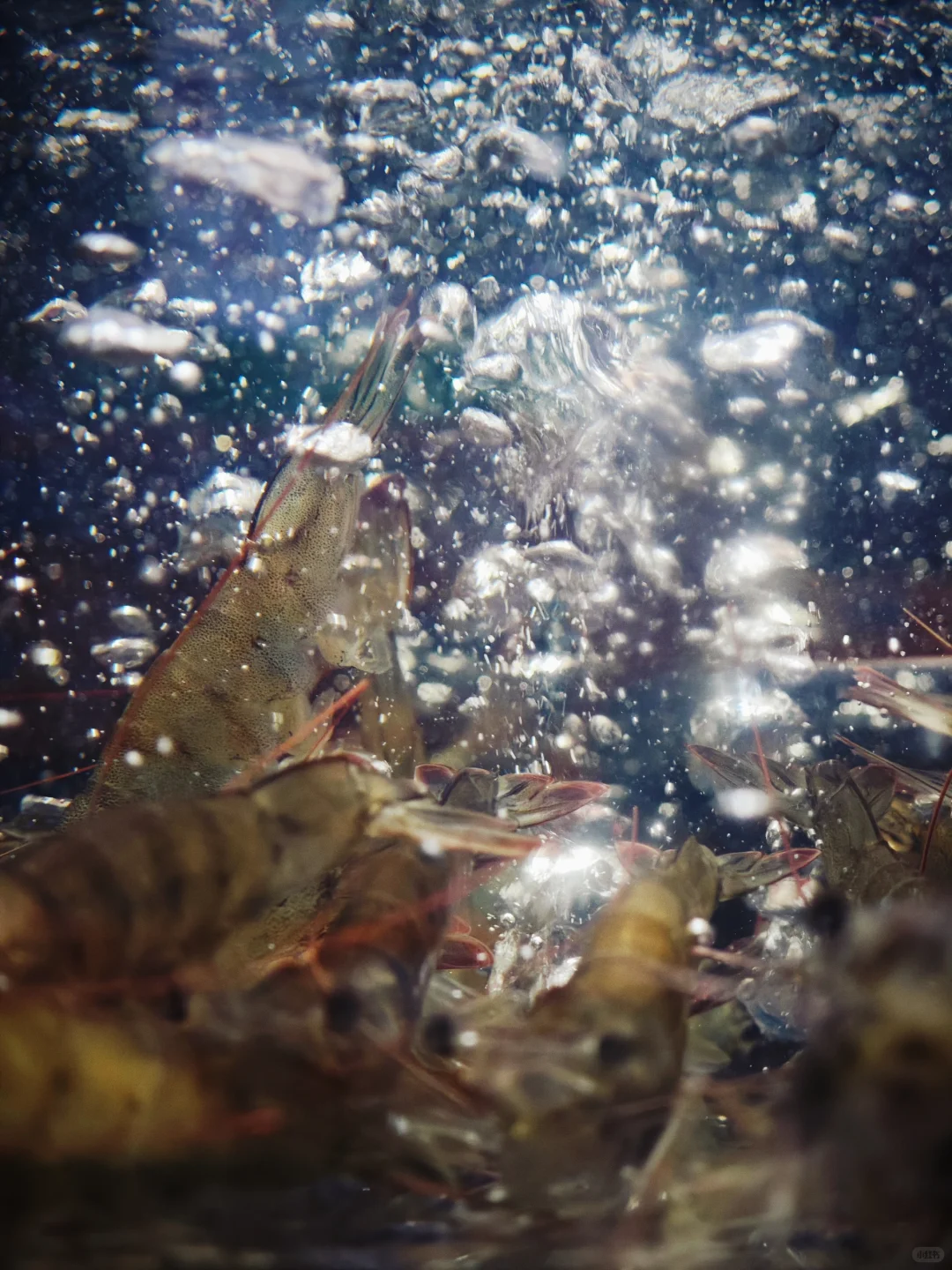 色彩生活｜瞧，超市里的果蔬如此缤纷多彩