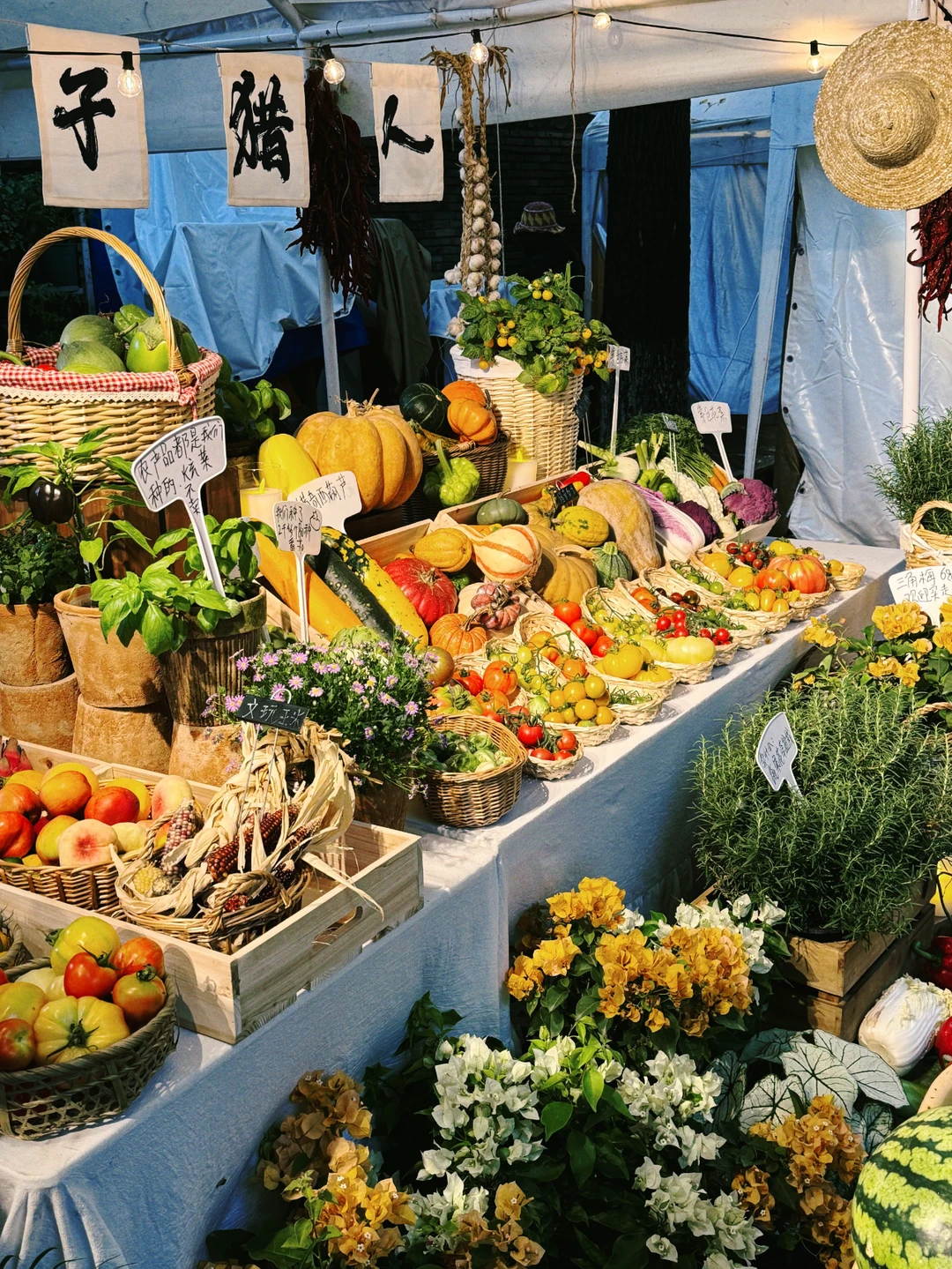 快来找我们玩?苏州本色美术馆