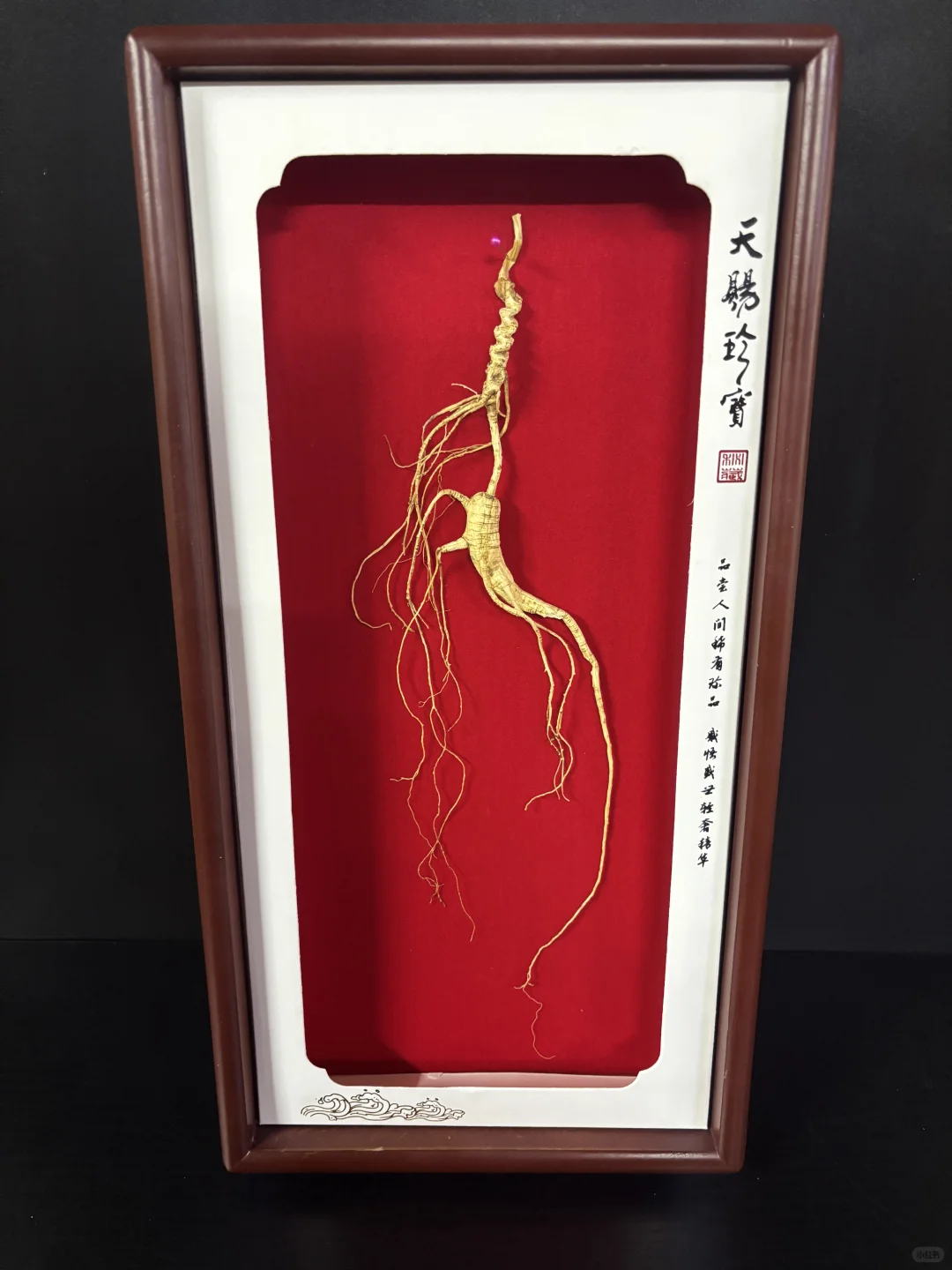 林下参小白，要学会选礼盒装。