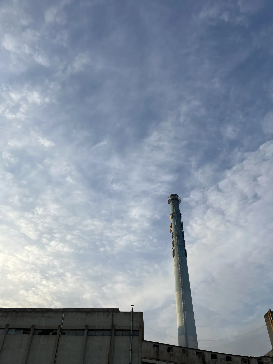 00后毕业女大钢材生卖钢第432天?